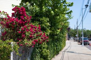 Upgrade Tips: Four Ways to Upscale Chain Link Fences